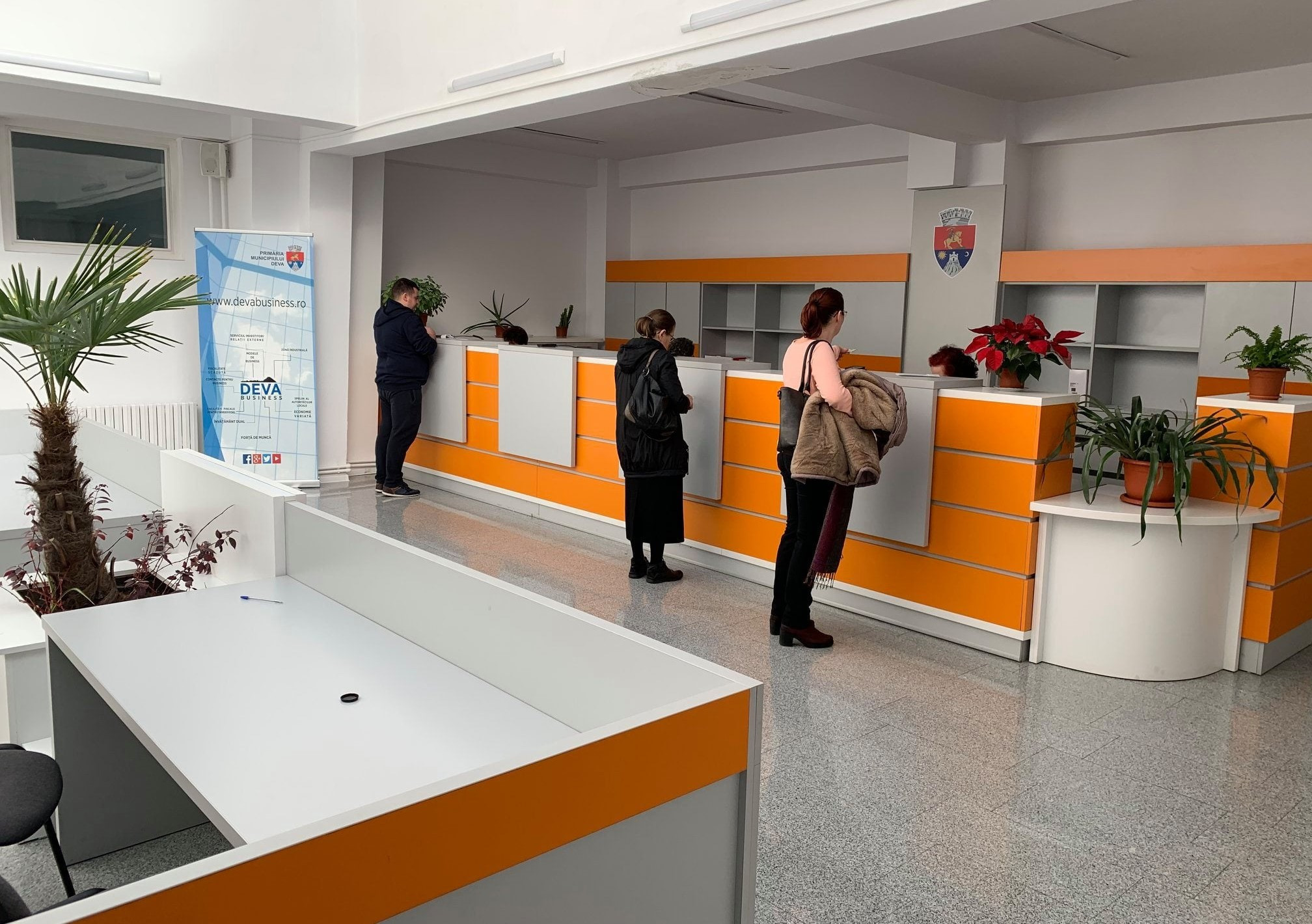 Direcția Impozite și Taxe Locale Deva – program special