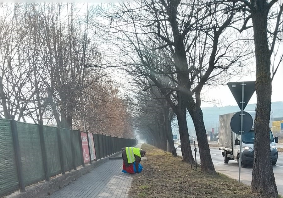 Serviciul Public de Întreținere și Gospodărire Municipală Deva – acțiuni pentru un oraș mai curat și mai sigur