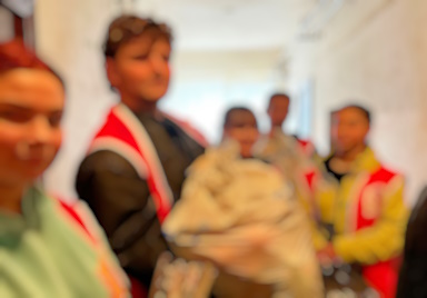 Voluntarii de la Cluburile Lions și Leo Deva Sarmizegetusa, în sprijinul familiilor vulnerabile