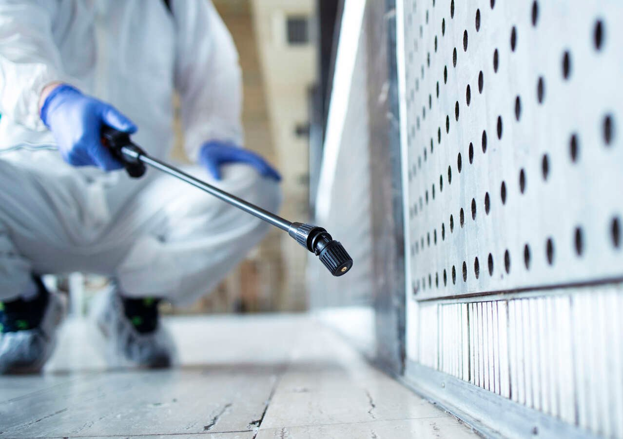 DAS Deva: Dezinsecţie, dezinfecţie şi deratizare la blocurile sociale din zona Zăvoi - luni, 16 martie 2026