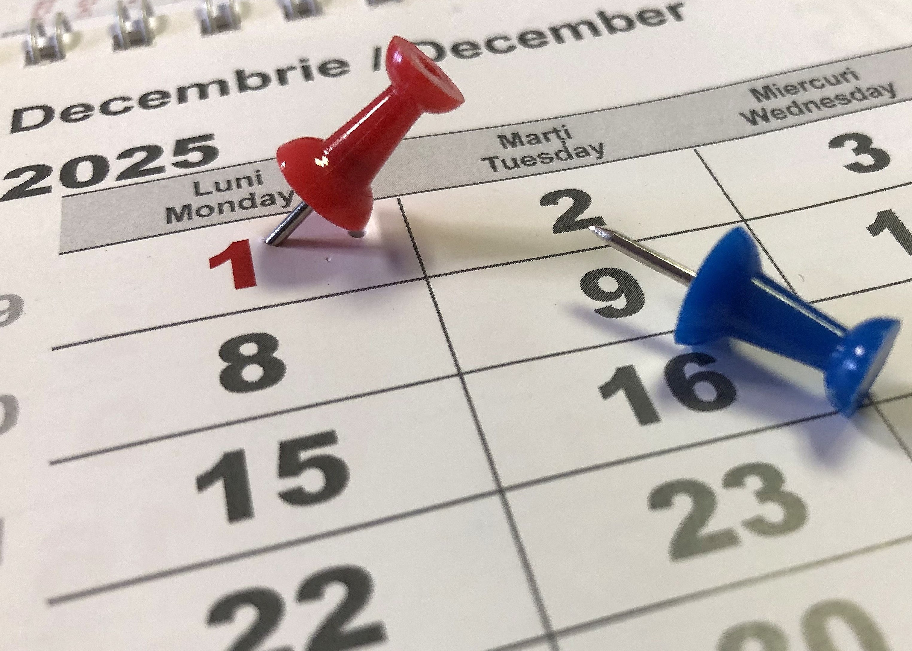 DAS Deva: Program special în ziua de 1 decembrie 2025