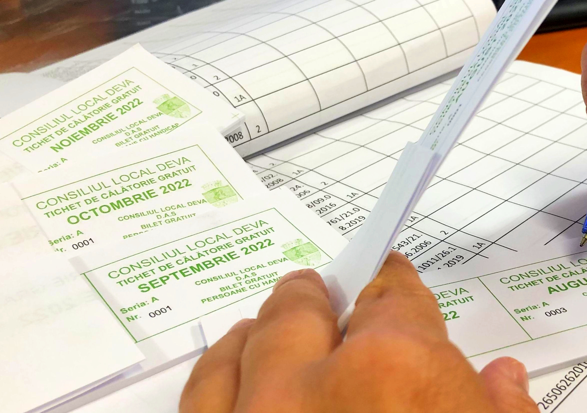 Tichete gratuite de călătorie pentru persoanele cu dizabilităţi