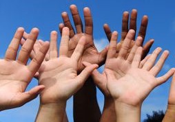 DAS Deva caută voluntari!