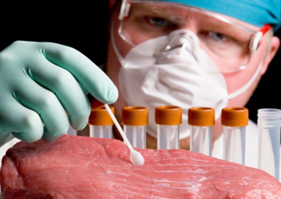 DAS Deva: DSP Hunedoara avertizează asupra riscului de îmbolnăvire cu trichineloză. Complicațiile severe pot cauza decesul!