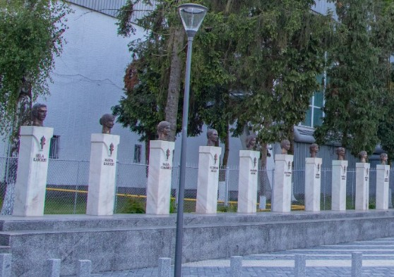 Deva își onorează valorile: un elogiu pentru excelența în gimnastică