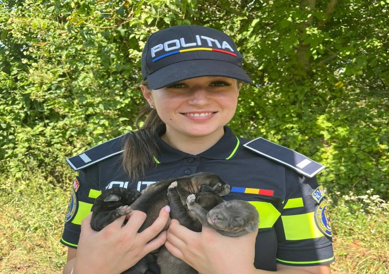 Ghid informativ privind obligațiile deținătorilor de animale de companie