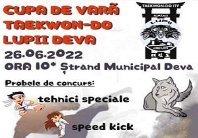 Ștrandul Municipal Deva – gazda Cupei de Vară la Taekwondo