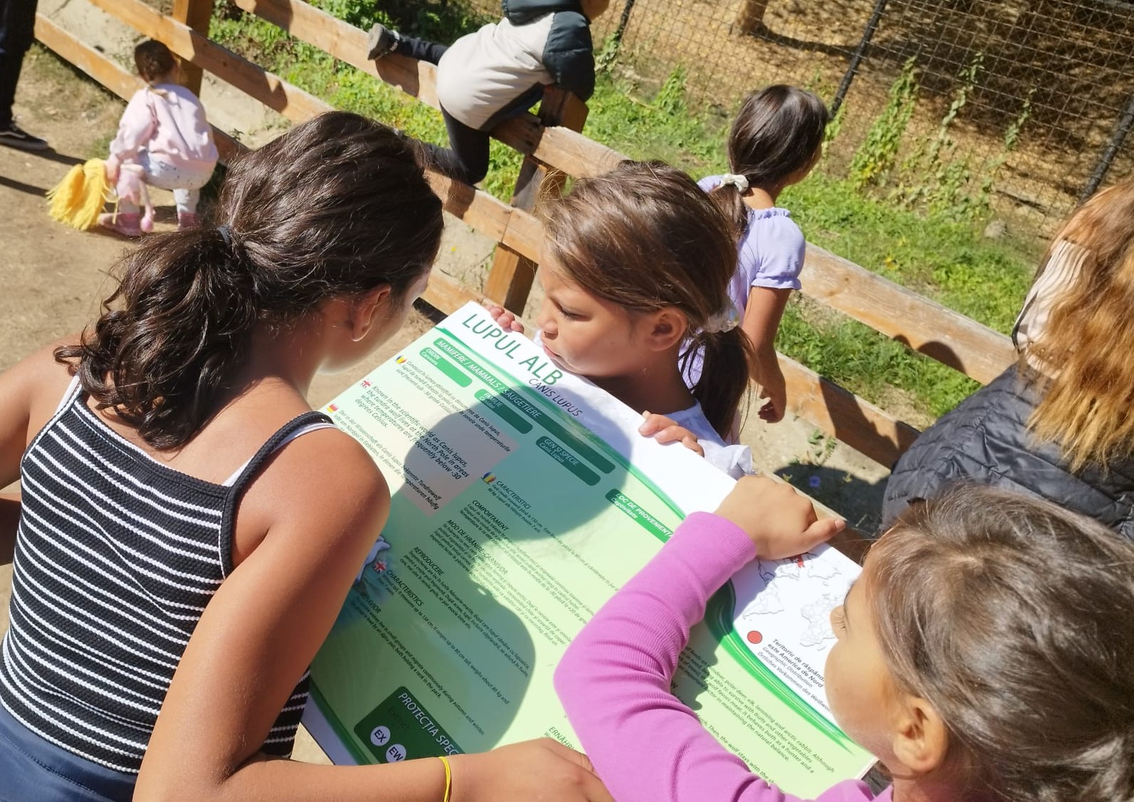 Natura devine sală de clasă: experiență educativă pentru copiii proveniți din grupuri dezavantajate din municipiul Deva