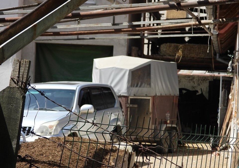 Primăria Deva a dat în judecată cetățeanul care crește animale în zona Ștrandului Municipal. În 26 septembrie 2023 se reia procesul de către instanță!