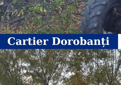 Curățenie de toamnă în cartierele Devei