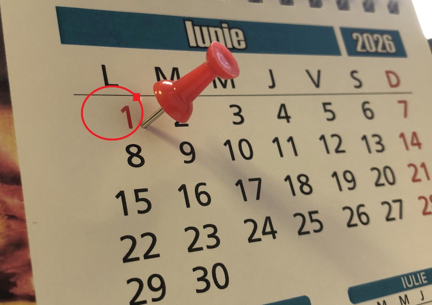 DAS Deva: Program special – luni, 1 iunie 2026, la DAS Deva și la Centrul de zi „Clubul Seniorilor”