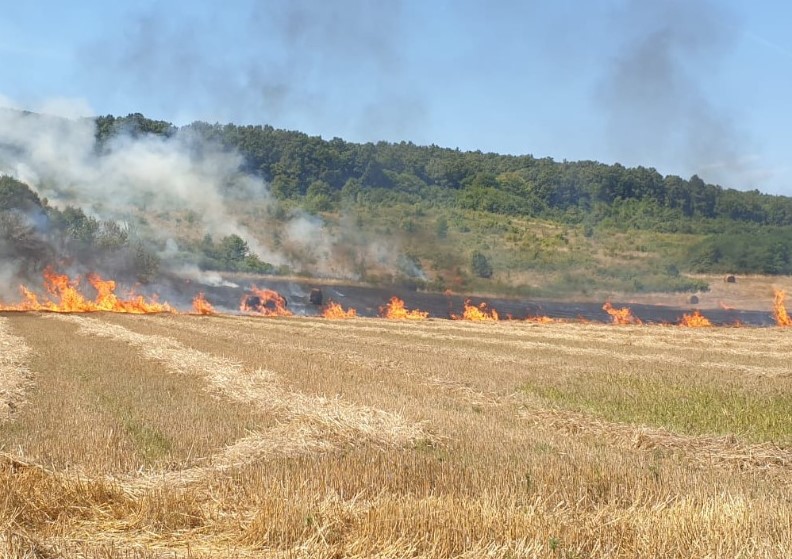 Arderea miriștilor și a resturilor vegetale – obligații legale și măsuri pentru prevenirea incendiilor