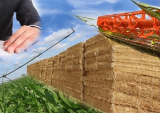 În atenția deținătorilor/utilizatorilor de bunuri care fac obiectul înscrierii în registrul agricol!
