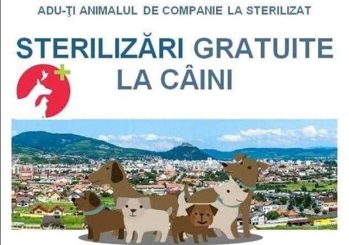 Nu uita de campania gratuită de sterilizare a câinilor cu stăpân ce aparțin rasei comune și a metișilor acestora, derulată de Primăria Municipiului Deva!