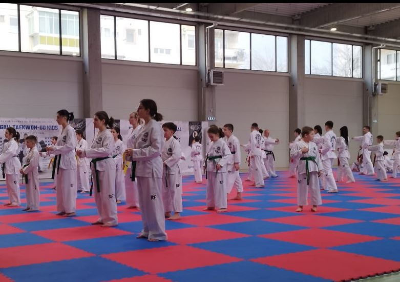 Demonstraţie de taekwon-do în Piața Arras din Deva