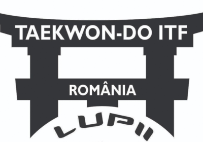 Antrenament demonstrativ de Taekwon-do ITF, în Parcul Cetate din Deva