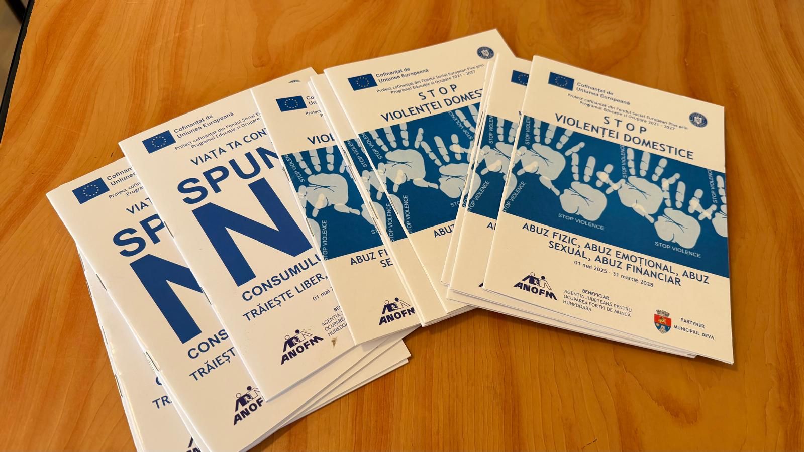 Primăria Deva, partener activ în sprijinul tinerilor prin proiectul „Tineret pentru viitor”